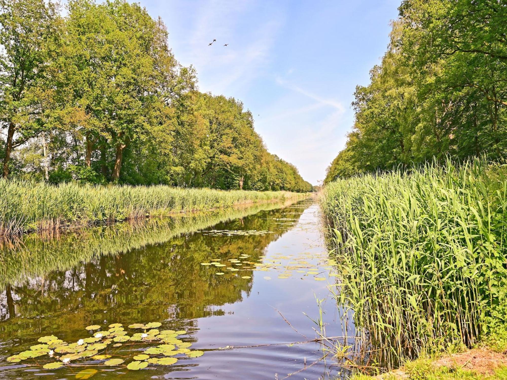 Chalet With Gorgeous View Of The Natural Surroundings Weerselo Eksteriør billede