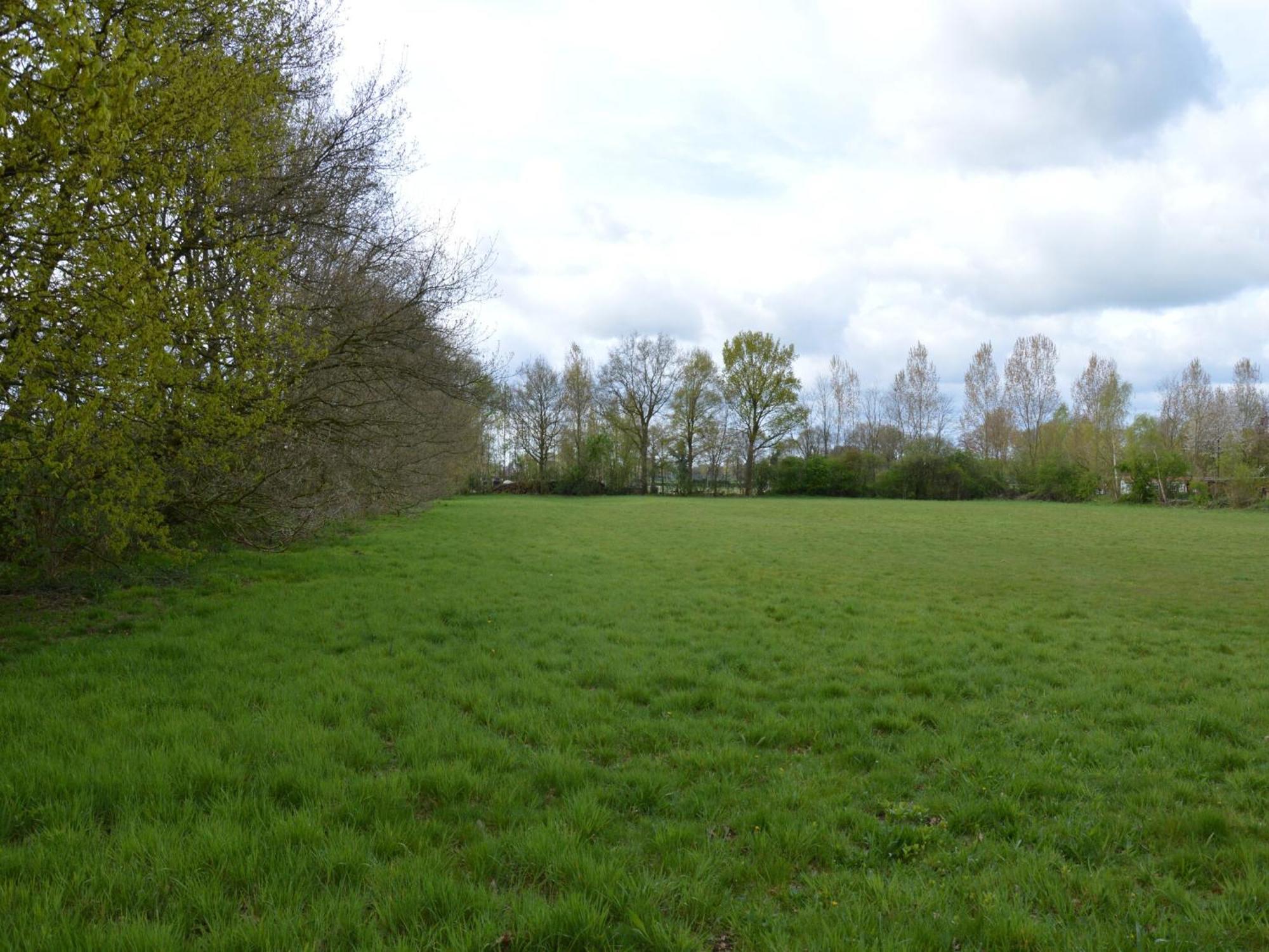 Chalet With Gorgeous View Of The Natural Surroundings Weerselo Eksteriør billede